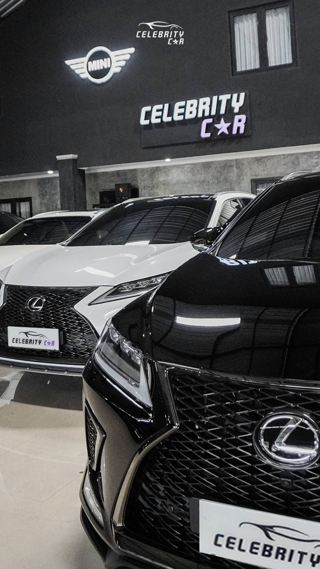 Celebrity Car Bali 02