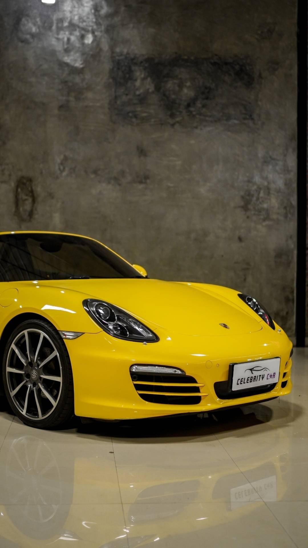 Celebrity Car Bali 05