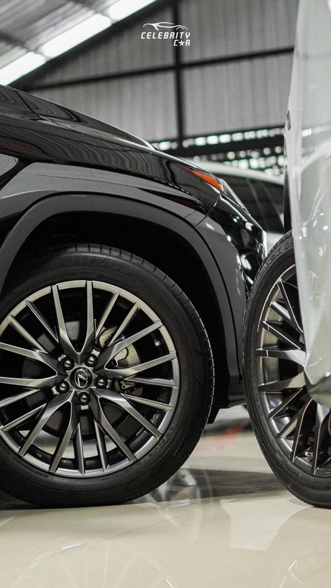 Celebrity Car Bali 06